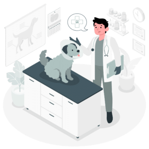 Veterinary accountants discussing financial strategies with a veterinarian in a clinic setting.